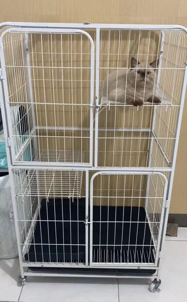 Kandang Kucing Tingkat Besar