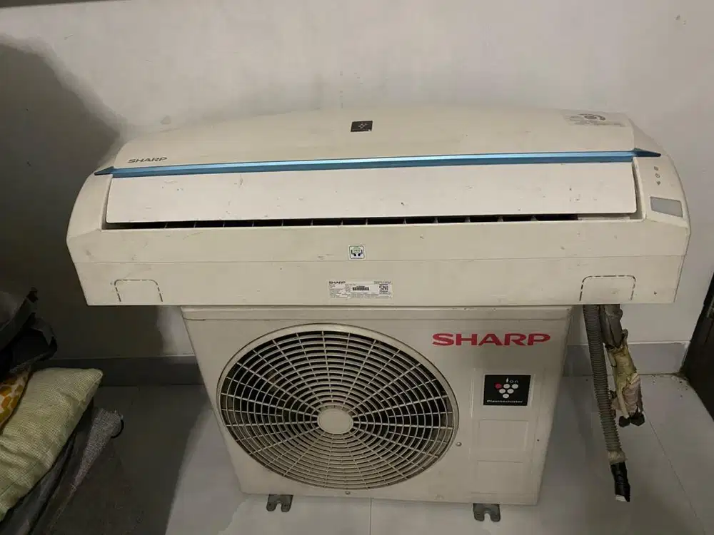 AC Sharp 1/2PK low watt