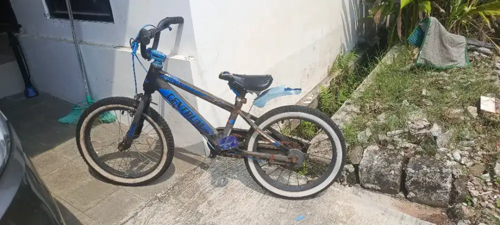 Jual sepeda anak