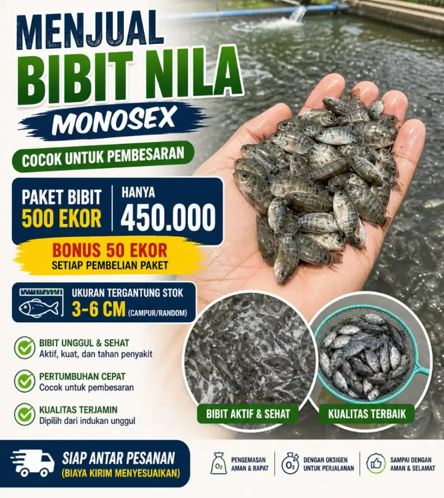 Bibit Nila / Mujair Unggul Berkualitas Paket Siap Tebar