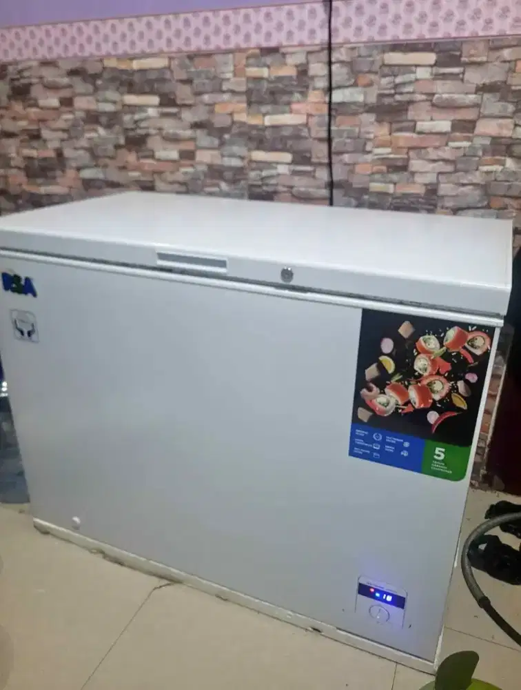 FREEZER RSA CF310