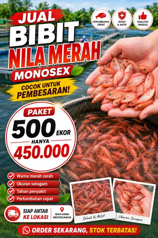 Bibit Nila Merah Berkualitas - Paket Siap Tebar