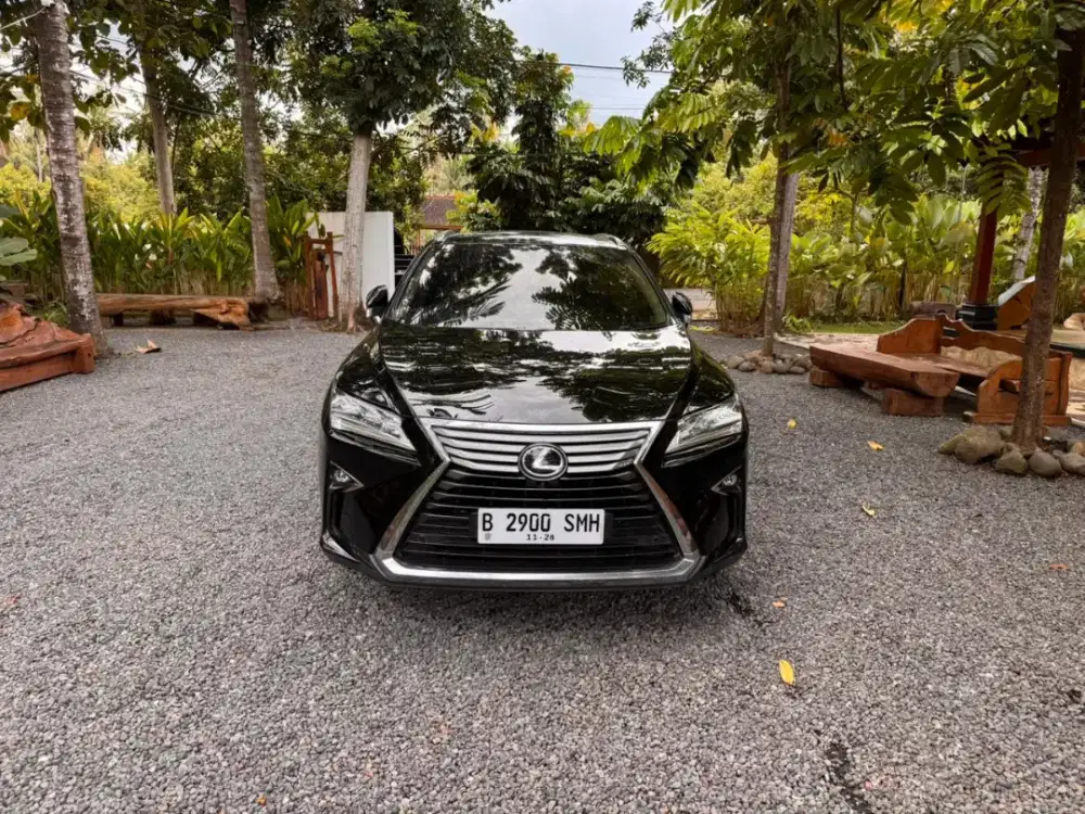 Lexus RX300 Luxury 2019