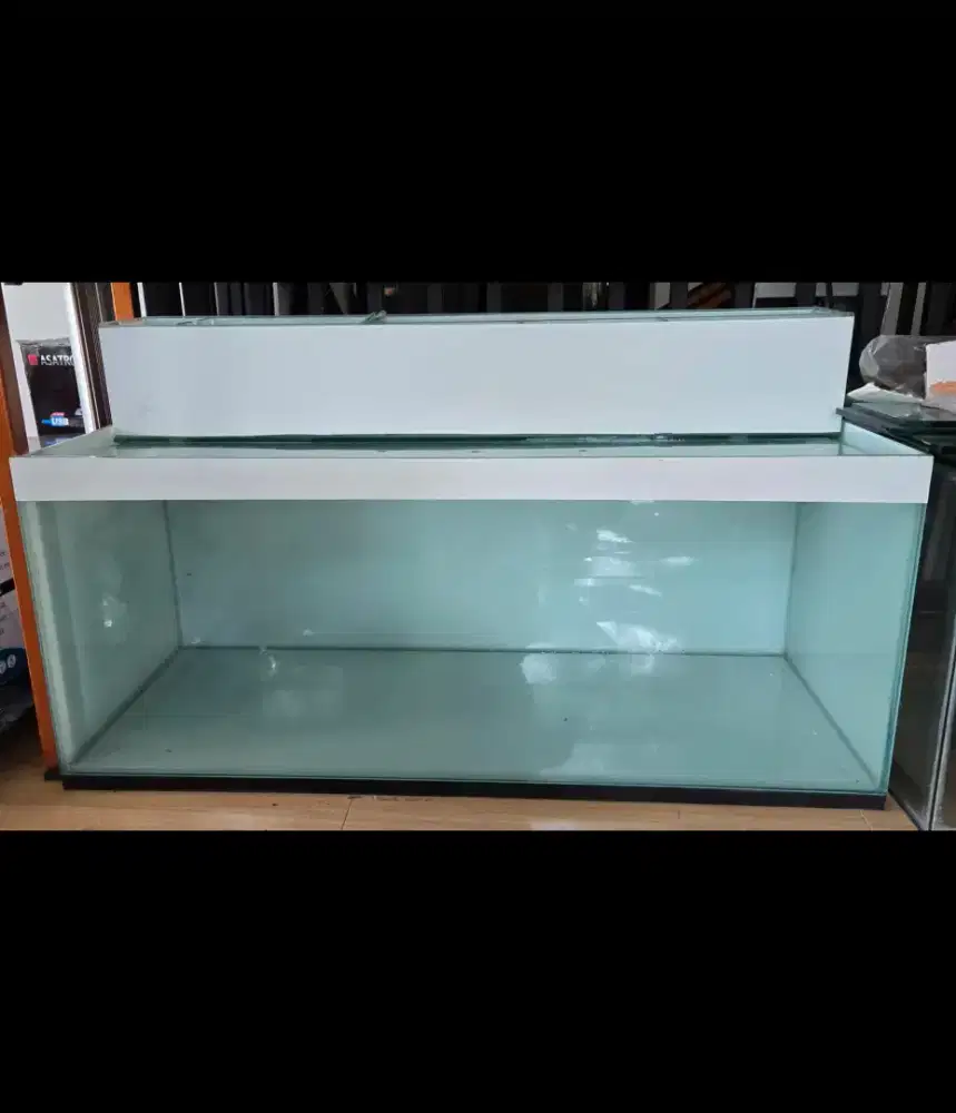 Jual cepat murah koleksi simpanan aquarium akuarium taning ikan arwana
