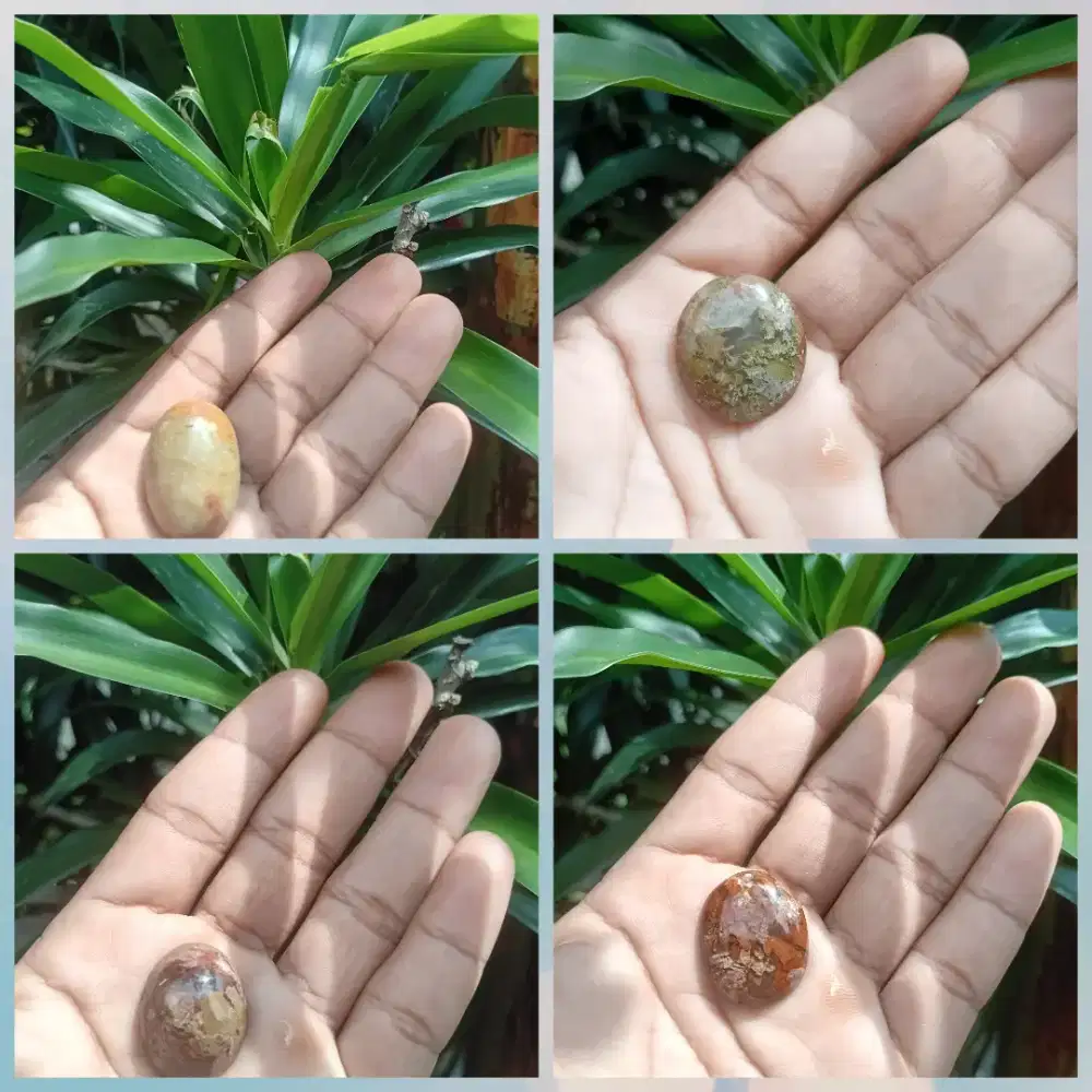 Batu mus_tika janin asli natural alam yang belum punya keturnan