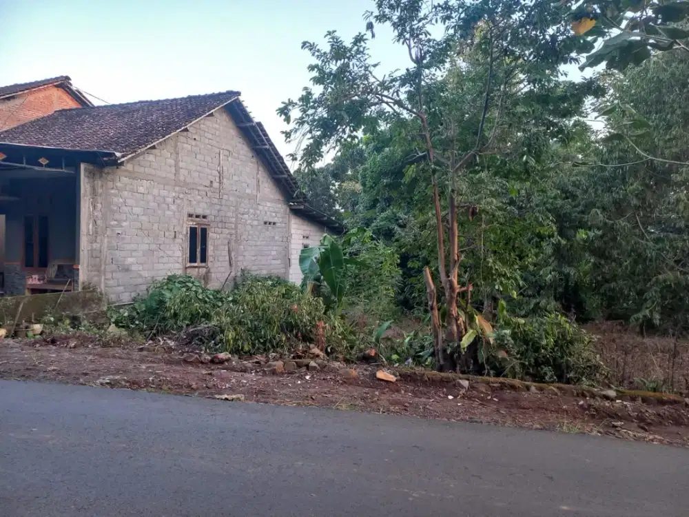 Tanah murah pinggir jalan raya podorejo Mijen