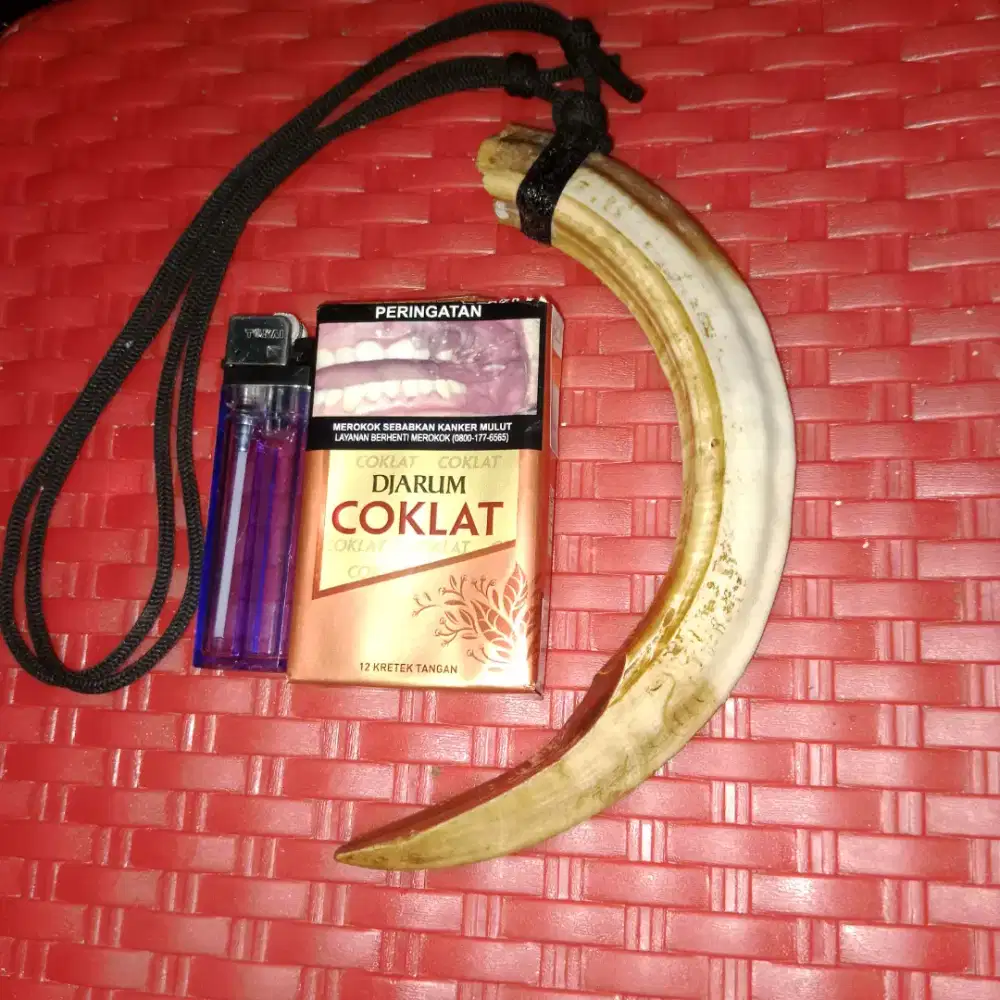 Kalung suku dayak kalimantan