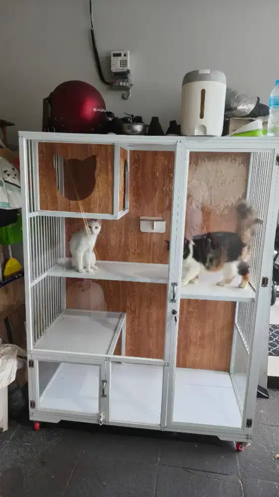 Kandang Kucing Almunium Kaca Premium