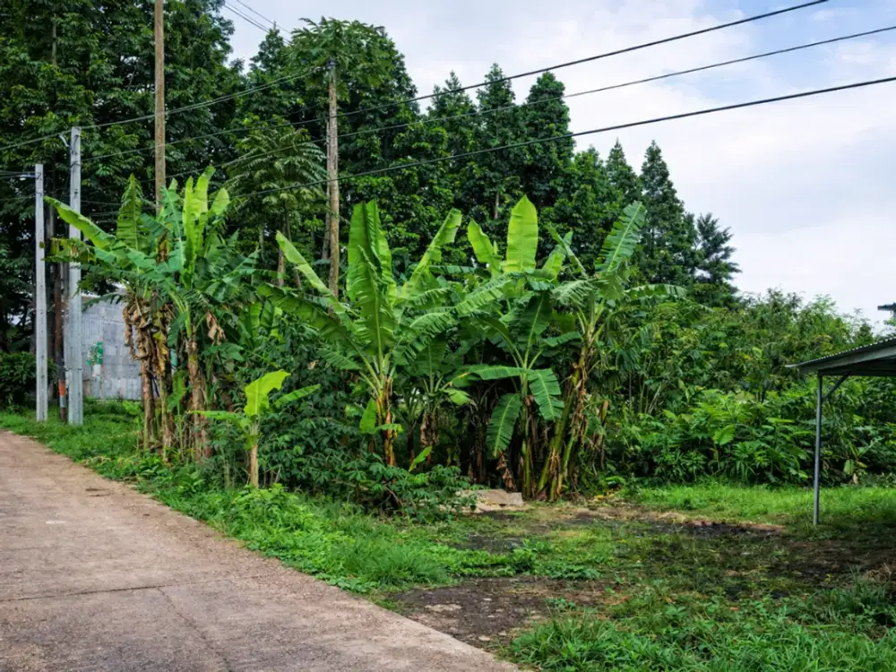 Tanah Impian di Area Setiabudi – Siap Dibangun