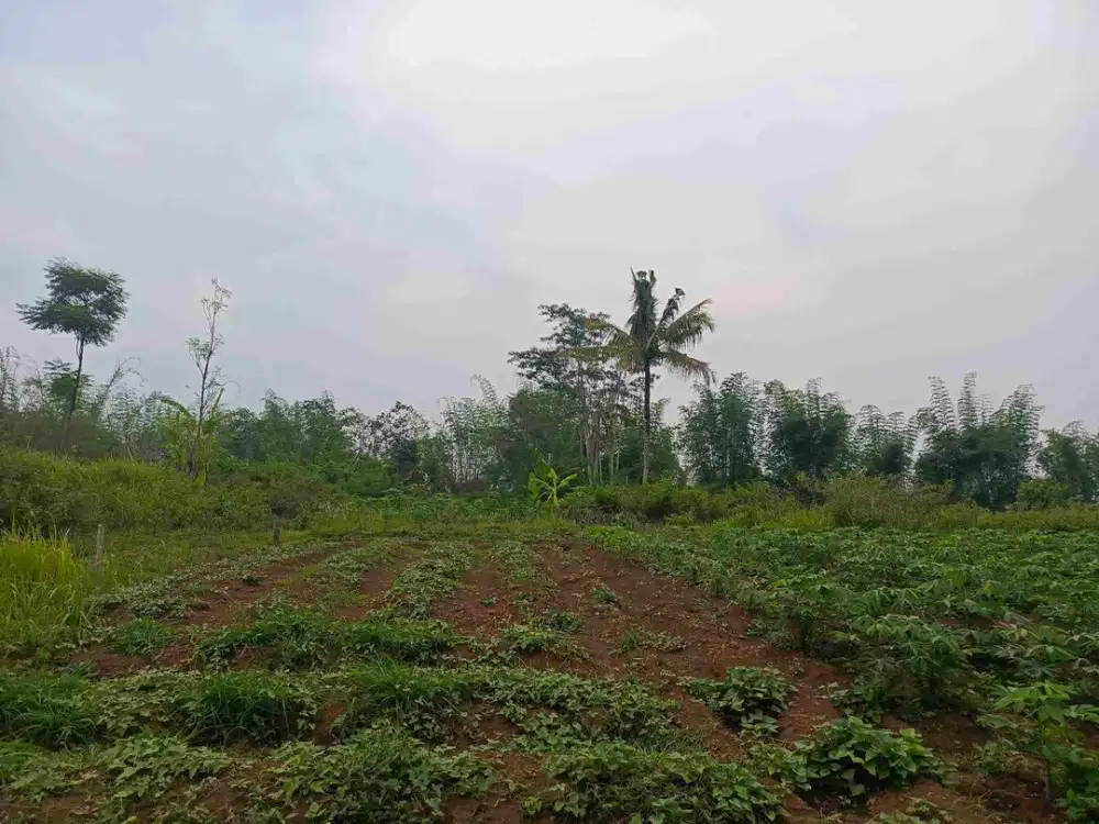 Jual tanah Kavling Murah AJB area Perumahan
