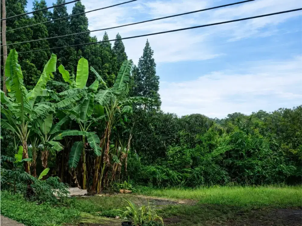 Kavling Area Setiabudi – Dekat Aktivitas Kota Bandung