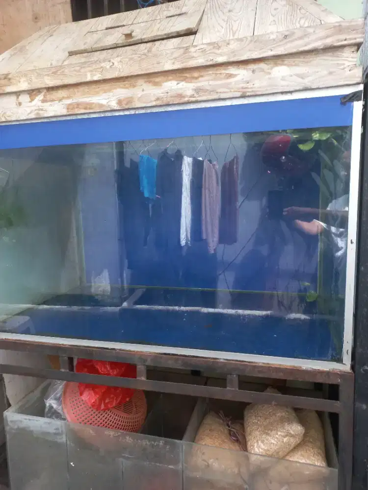 Aquarium akuarium tank besar