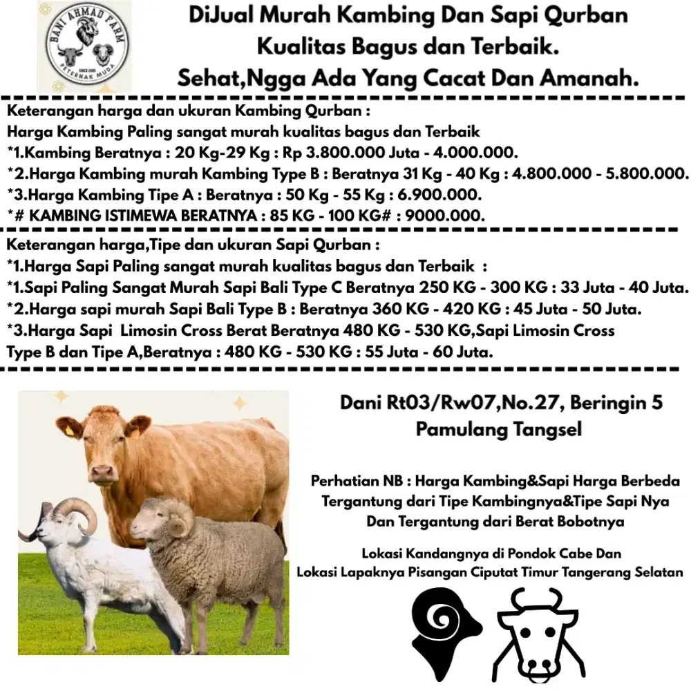 DiJual Kambing dan Sapi Hewan Qurban Sehat,Gak Ada Yg Cacat,Amanah