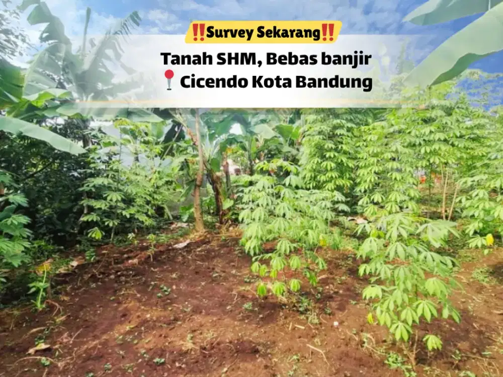 Tanah 396 m² Cicendo Bandung – Siap Bangun & Akses Mudah