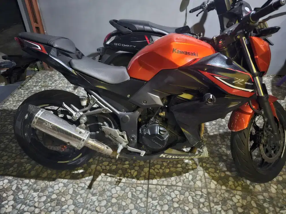 Kawasaki NINJA Z250