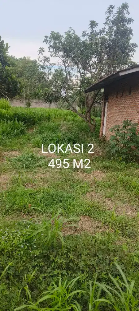 Jual tanah 495m2 800rb/m
