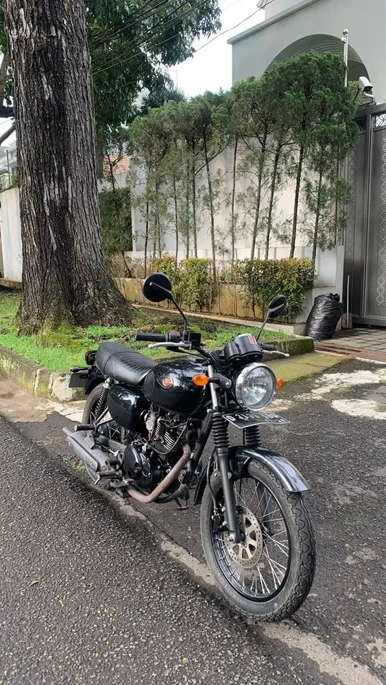 kawasaki w175 2021