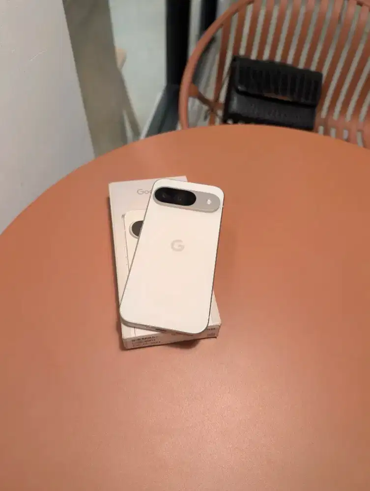 Google Pixel 9 Resmi bea cukai