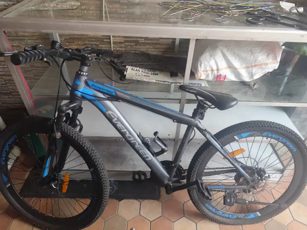 Sepeda Gunung MTB Evergreen 540 Blue (second like new)