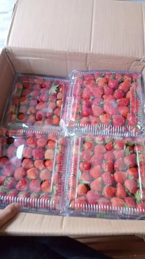 Strawberry Fresh