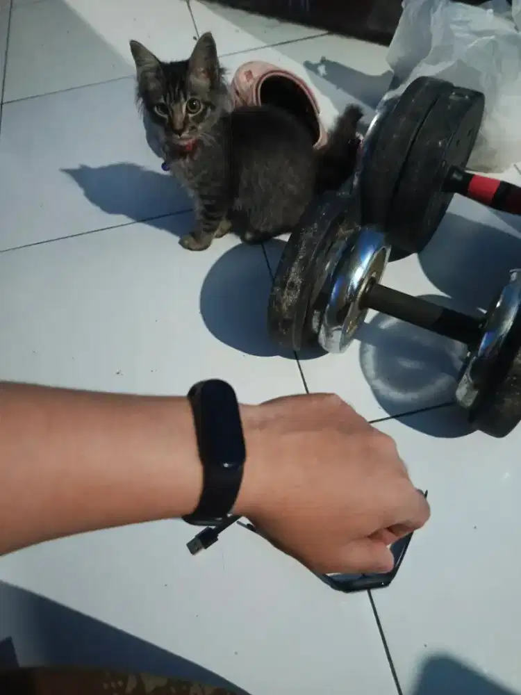 smart watch xiaomi band 3