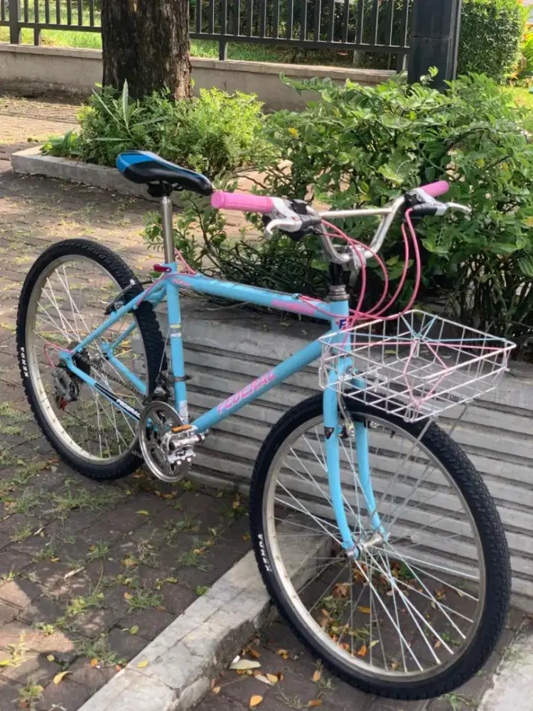 Sepeda Commuterbike Federal Torino Terrain
