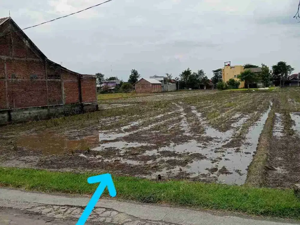 sawah status kering Sragen kota