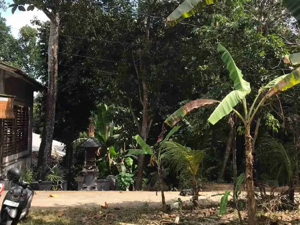 Tanah Kedungu 315m2 Dekat Pantai Lingkungan Nyaman Akses 5 Meter