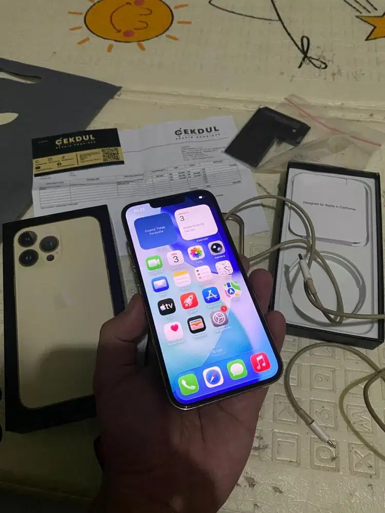 Iphone 13 pro 256gb resmi iBox