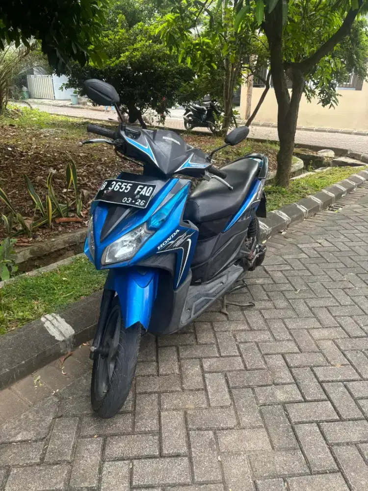 Vario Techno Karbu th 2011