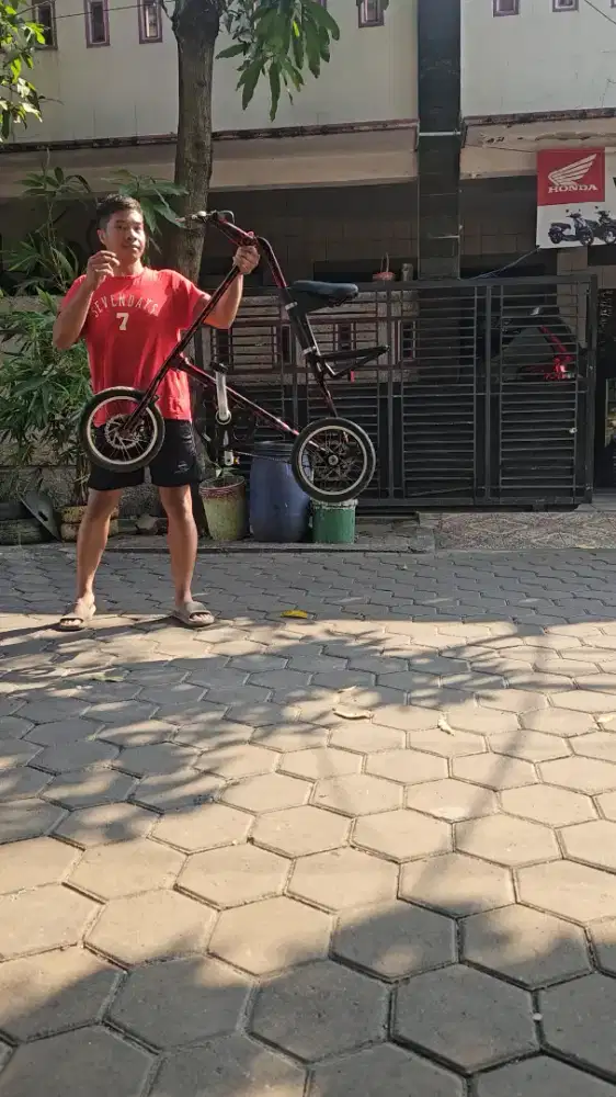 Sepeda strida unik dan langka