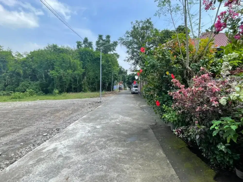 Tanah Perumahan Berkualitas untuk Rumah Minimalis di Area Pemda Sleman