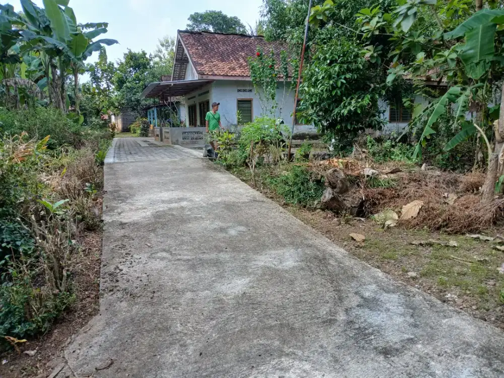 Pekarangan didesa agraris & nasionalis yg syahdu sbg tempat tinggal.