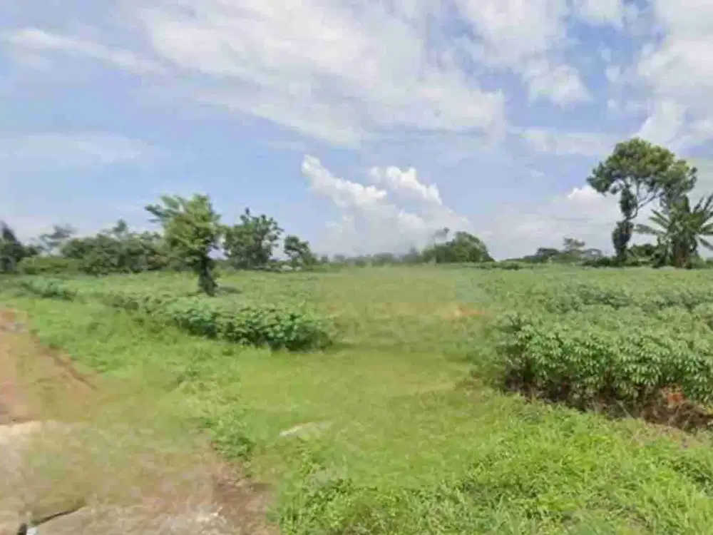 TANAH 443m² TERMURAH DI PRASAJA! SHM • AKSES MOBIL • DIJUAL DIBAWAH NJOP