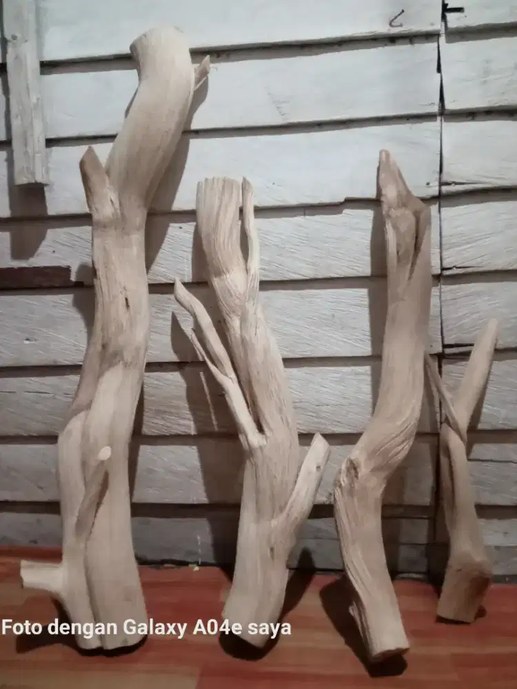Agarwood natural dekoraction Dragon wood  Feng Shui borneo kalimantan