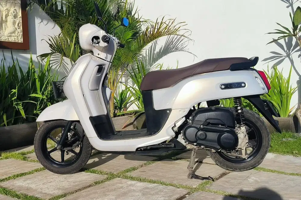 Fazio 2024 keyless