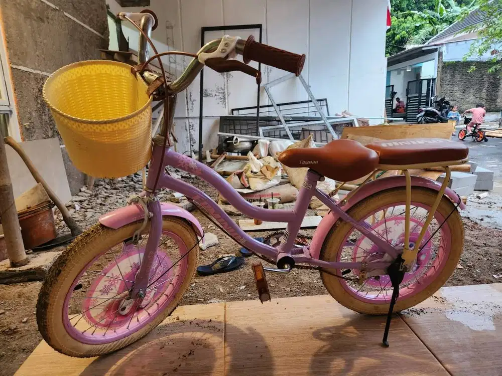 Sepeda Roda Dua (Anak Perempuan)
