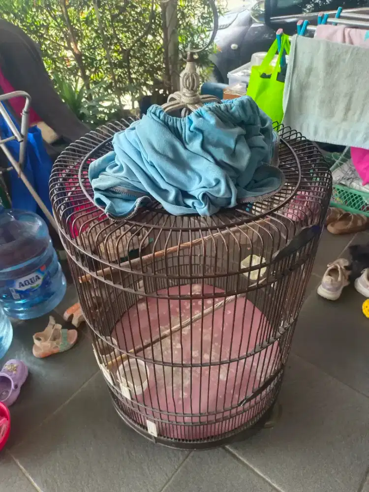 Kandang murai Murah
