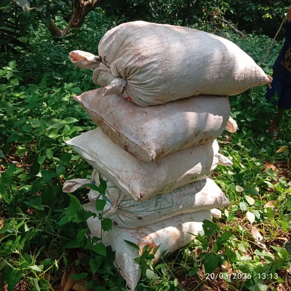 Jual tanah merah perkarung