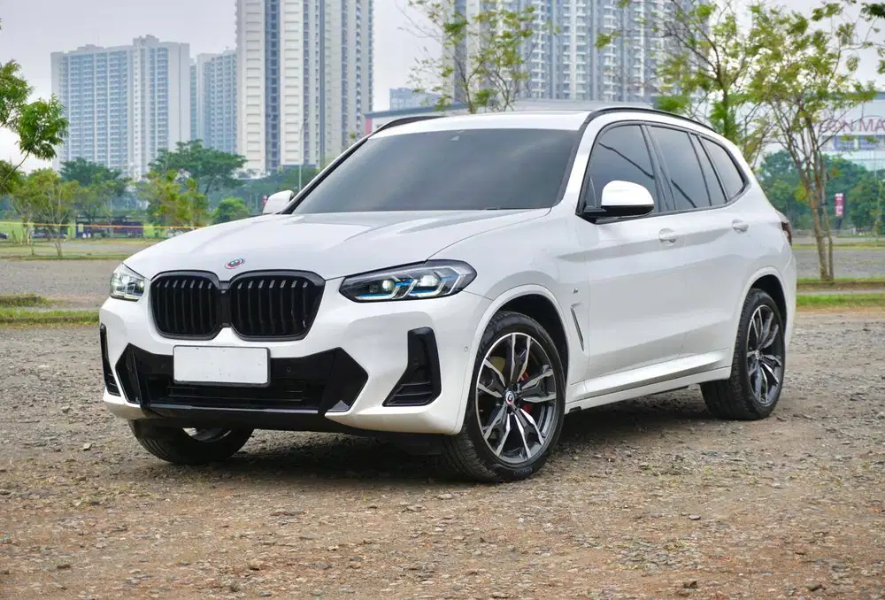 BMW X3 G01 LCI MSport  xDrive30i B48 2022