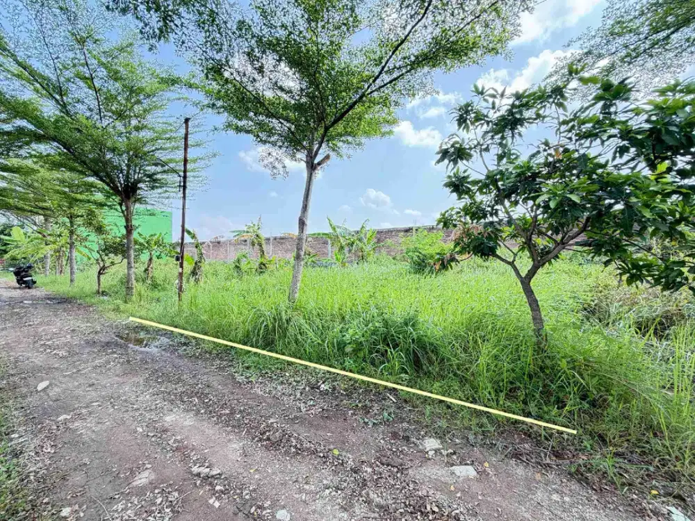 Tanah kavling murah siap bangun dekat Tugu Boto dan Exit Tol Kodran