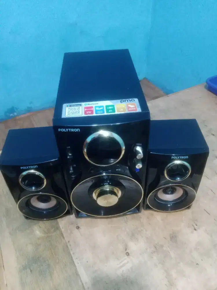 Speaker sound Polytron