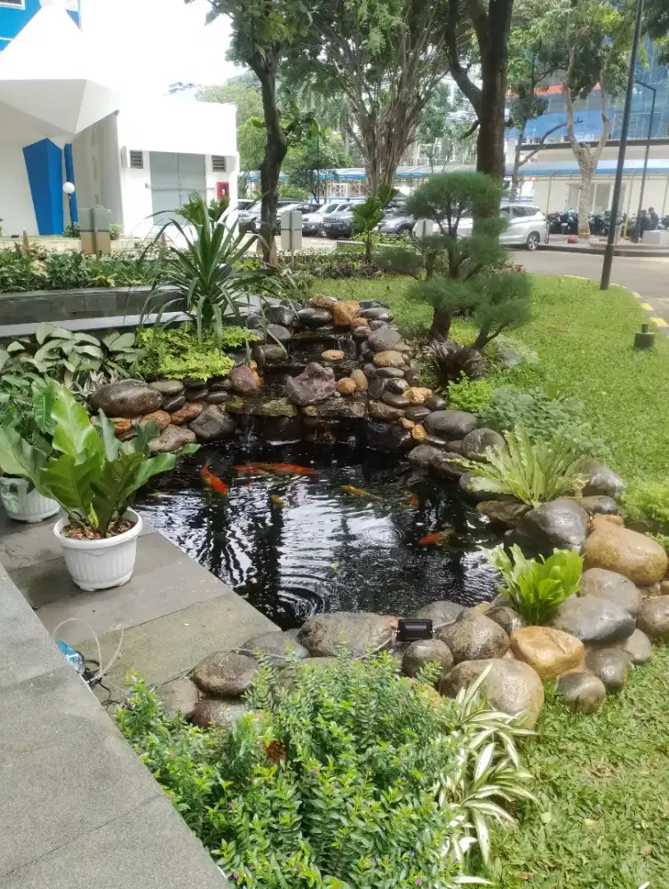 Kolam ikan koi batu alam natural