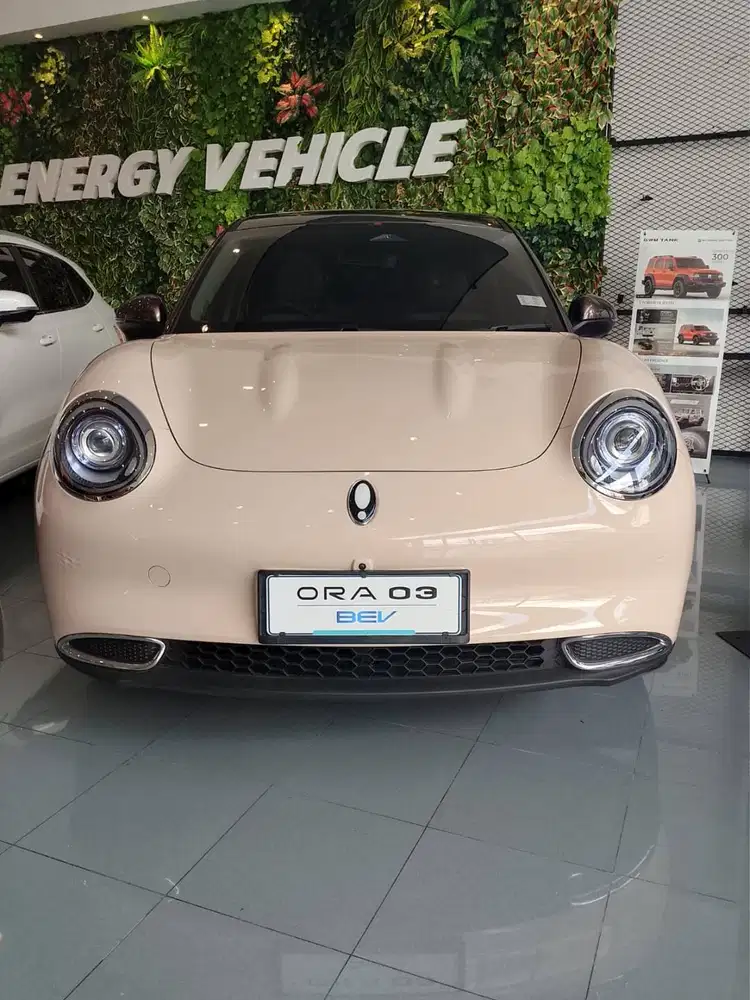 [Mobil Baru] GWM ORA 03