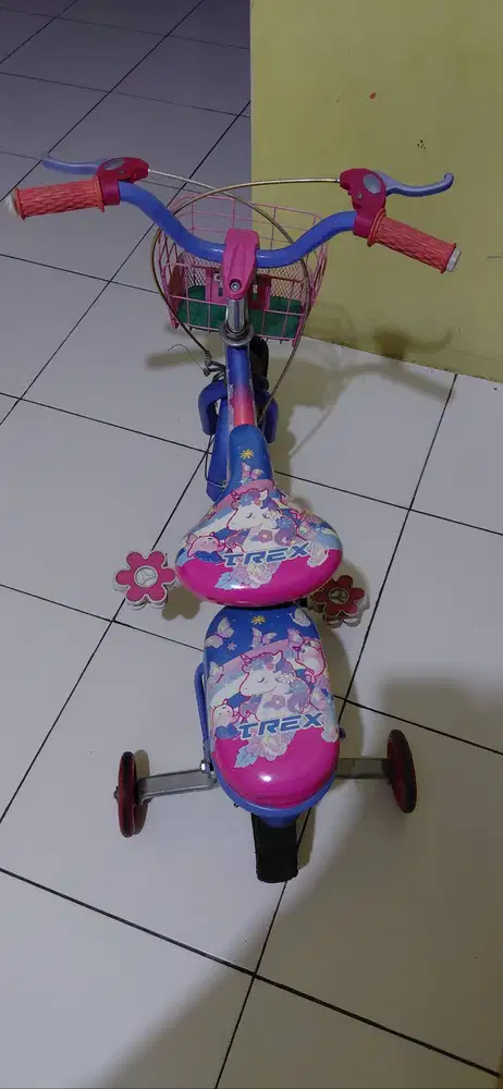 Sepada anak trex