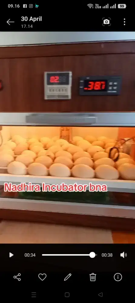 Mesin tetas telur full otomatis