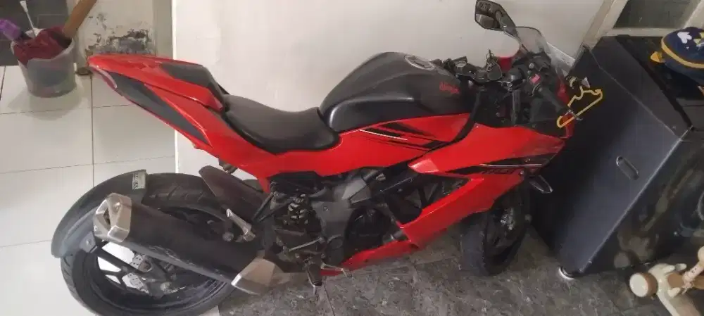 Kawasaki Ninja 250Cc Mono