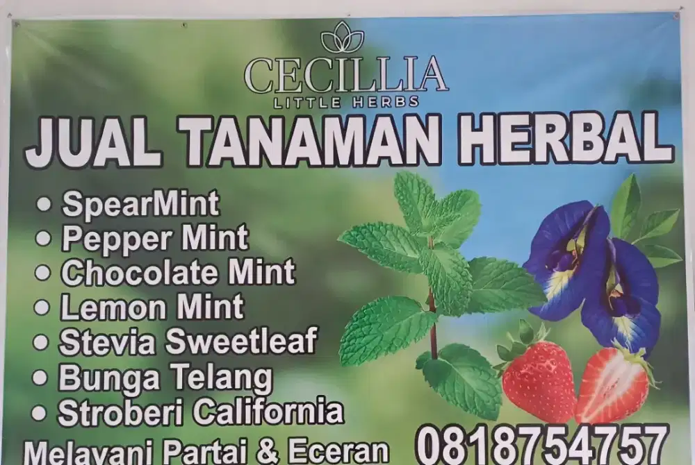 Jual berbagai macam herbal
