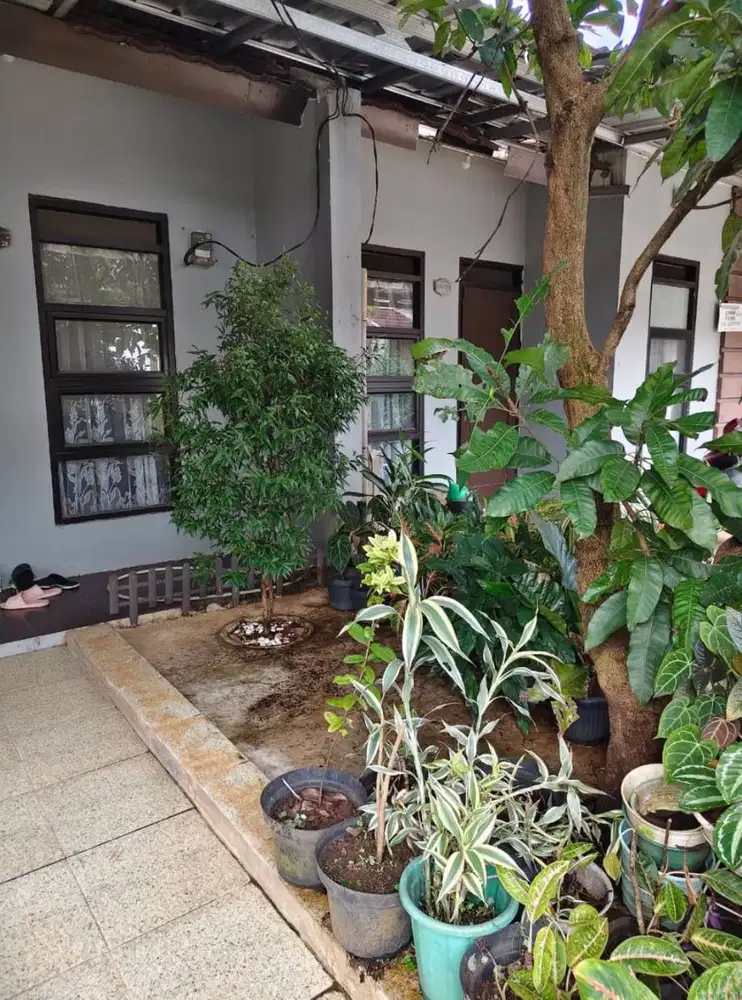 Rumah Asri Luas Murah Dekat Stasiun KRL Commuterline Bojonggede