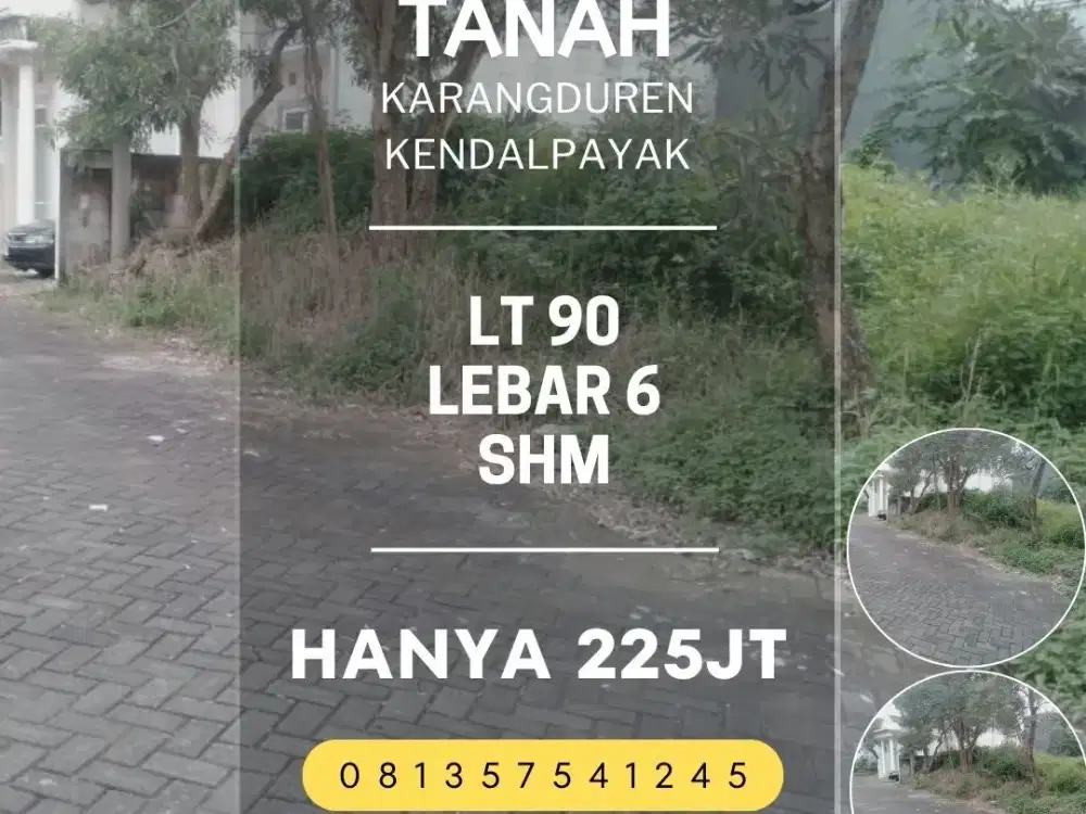 Tanah dijual di karangduren kendalpayak pakisaji lt90 225jt